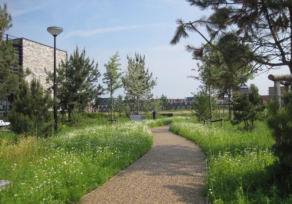 2005_Rieteiland Oost_Amsterdam_Winnaar meervoudige opdracht