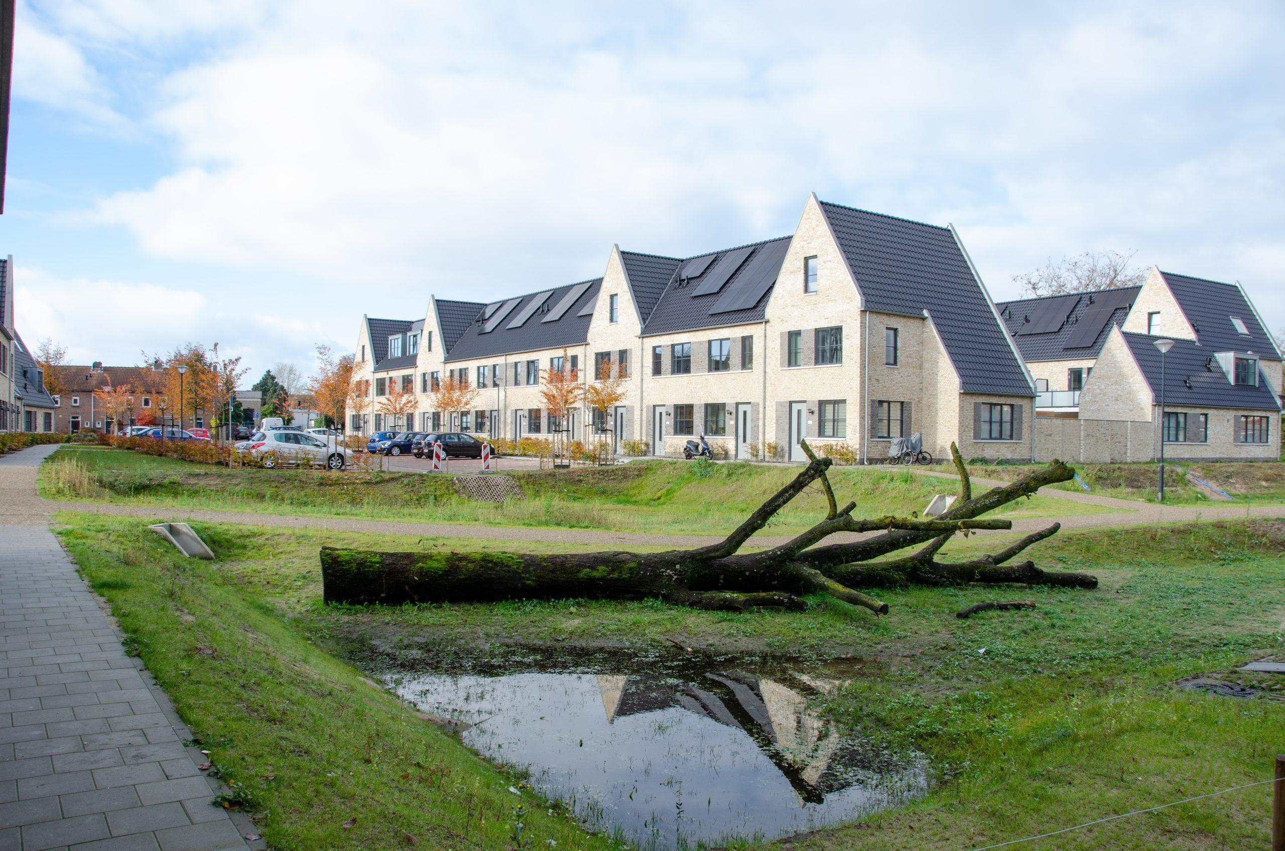 foto_grote-zeeheldenbuurt_foto_1_buro_lubbers
