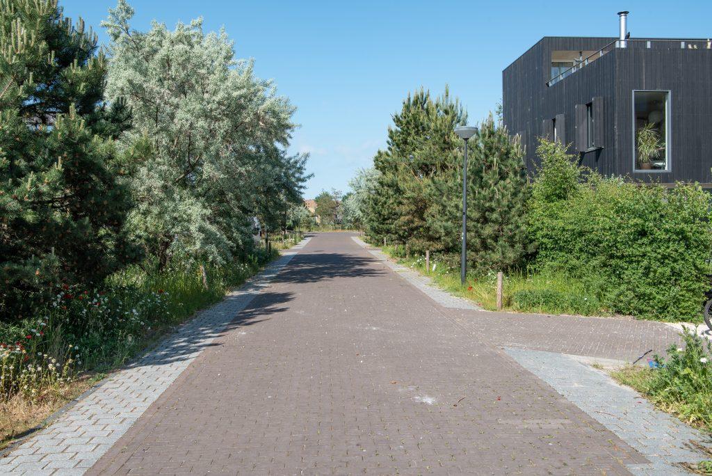 Foto openbare ruimte rieteiland Oost