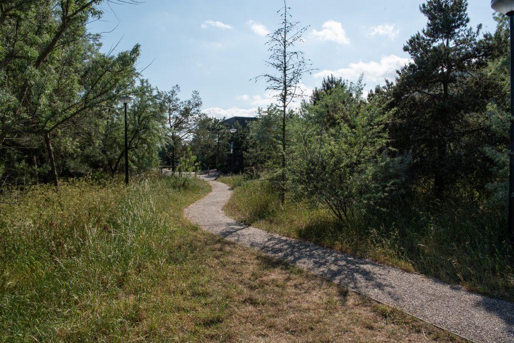 Foto openbare ruimte Rieteiland Oost