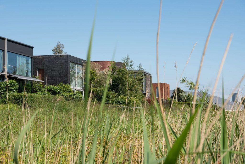 Foto openbare ruimte Rieteiland Oost