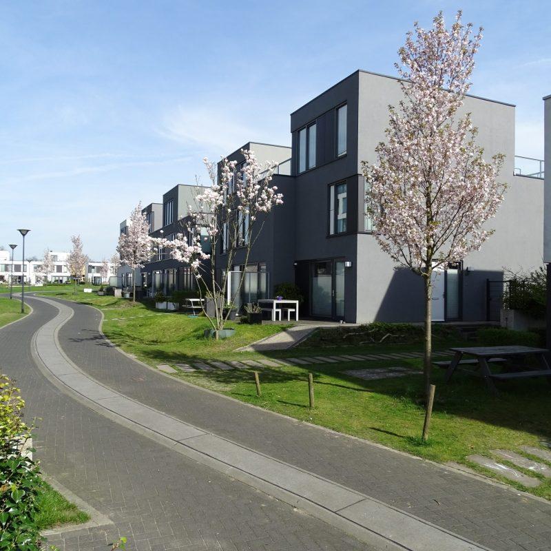 2006_Frij'hof_Nijmegen_Winnaar meervoudige opdracht