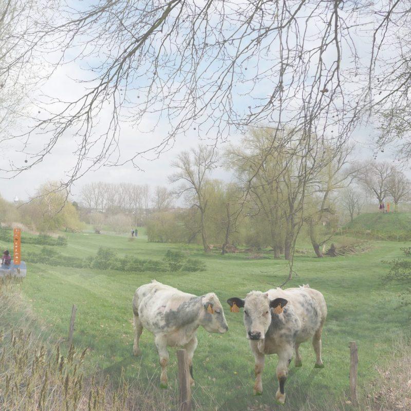 2013_Landschapspark Sinte Gitter_Landen, België_Tweede selectieronde Open oproep Vlaams Bouwmeester 2013_Landschapspark Sinte Gitter_Landen, België_Tweede selectieronde Open oproep Vlaams Bouwmeester