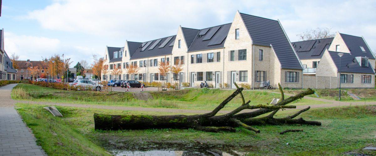 foto_grote-zeeheldenbuurt_foto_1_buro_lubbers
